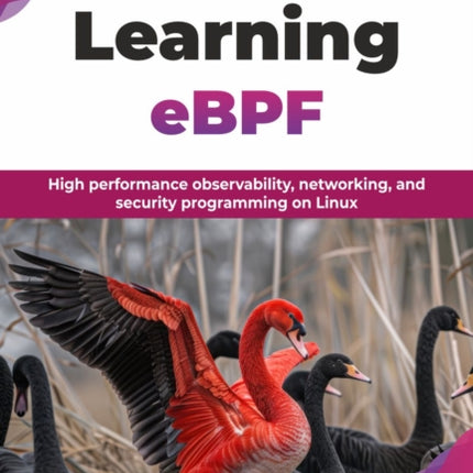 eBPF The definitive guide