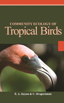 Community Ecology of Tropical Birds
