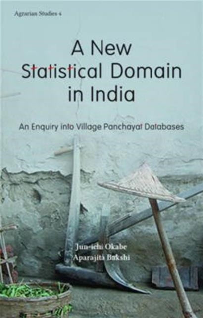 A New Statistical Domain in India – An Enquiry Into Village Panchayat Databases