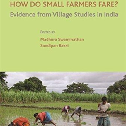 How Do Small Farmers Fare? – Evidence from Village Studies in India