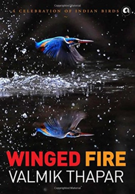 Winged Fire A Celebration of Indian Birds Part 3 of The Indian Wildlife Trilogy