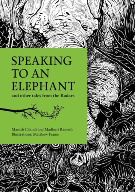 Speaking to an Elephant: and Other Tales from the Kadars