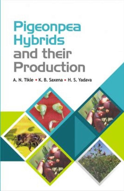 Pigeonpea Hybrids and Their Production