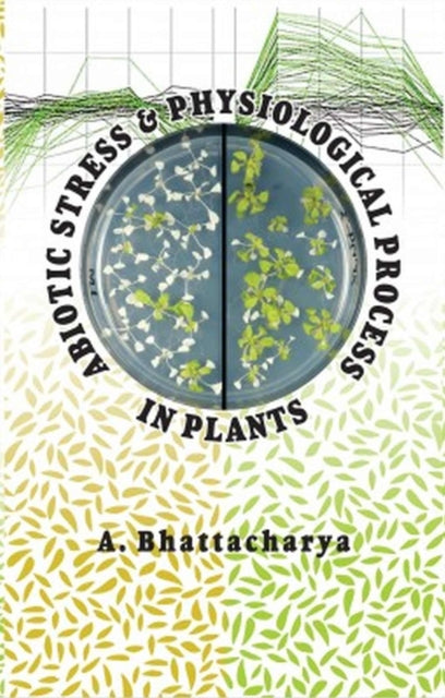 Abiotic Stress and Physiological Process in