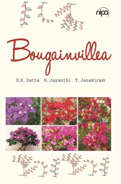 Bougainvillea