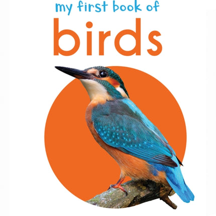 My First Book of Birds: First Board Book