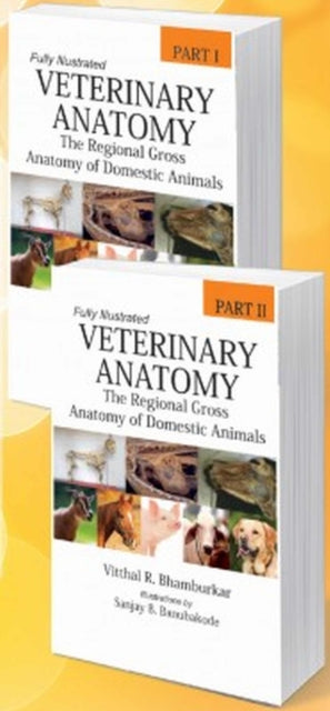 Veterinary Anatomy: The Regional Gross Anatomy of
