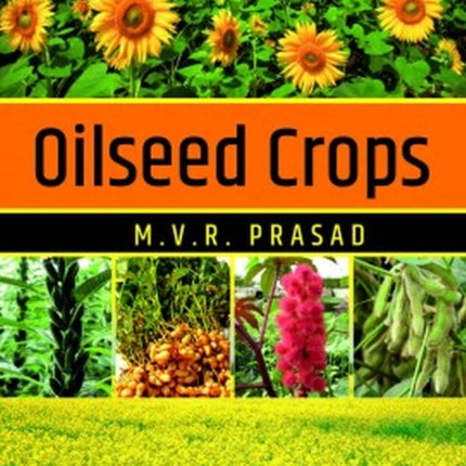 Oilseed Crops