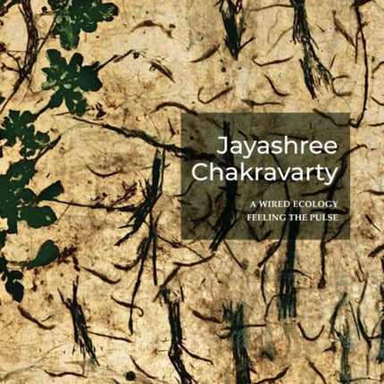 Jayashree Chakravarty