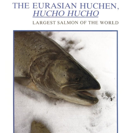 The Eurasian Huchen, Hucho hucho: Largest Salmon of the World