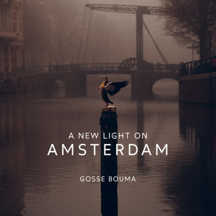 A New Light on Amsterdam