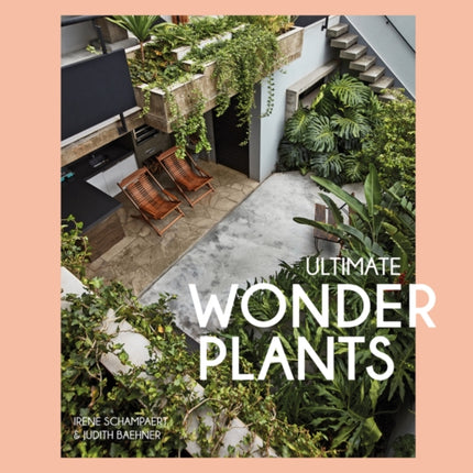 Ultimate Wonder Plants: Your Urban Jungle Interior