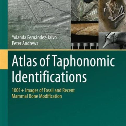 Atlas of Taphonomic Identifications: 1001+ Images of Fossil and Recent Mammal Bone Modification