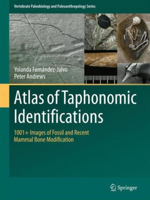 Atlas of Taphonomic Identifications: 1001+ Images of Fossil and Recent Mammal Bone Modification