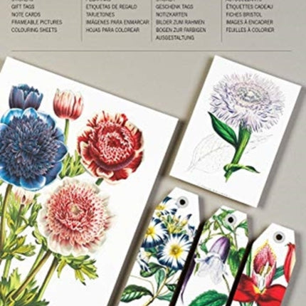 Flowers: Papercraft Book