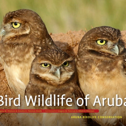 Bird Wildlife of Aruba