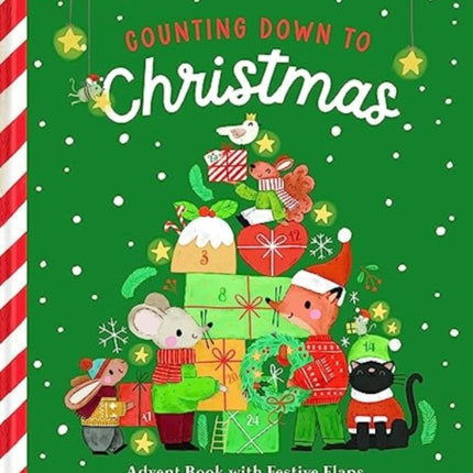 Counting Down to Christmas: Advent Book with Festive Flaps