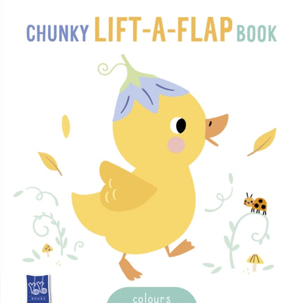Babys Chunky LiftTheFlap