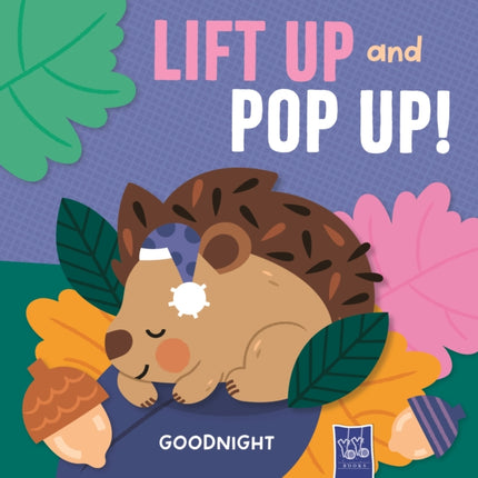 Goodnight Lift Up and Pop Up