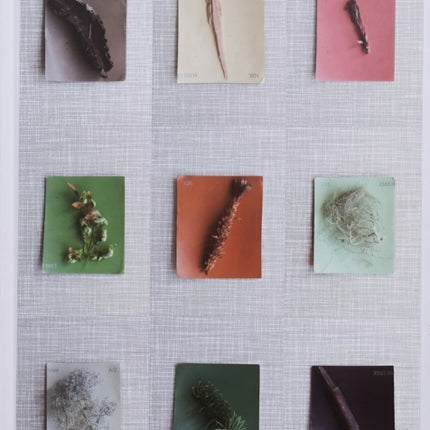 Debby Huysmans - Late Spring