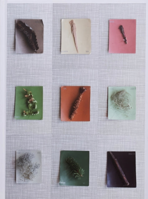 Debby Huysmans - Late Spring