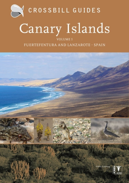 Canary Islands: Fuerteventura and Lanzarote - Spain: Vol. 1