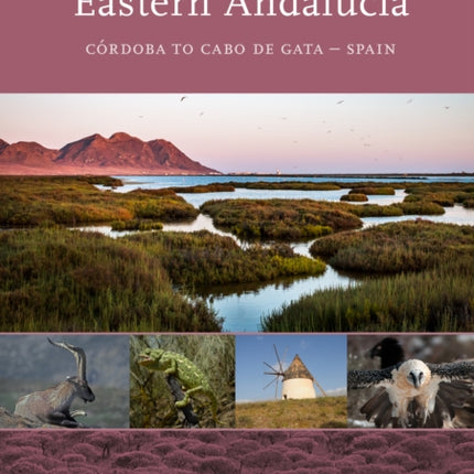 Eastern Andalucia: From Malaga to Cabo de Gata, Spain: II