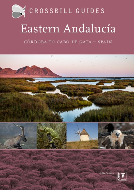 Eastern Andalucia: From Malaga to Cabo de Gata, Spain: II