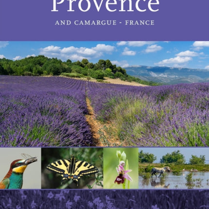 Provence: And Camargue, France