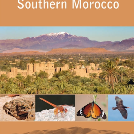 Southern Morocco