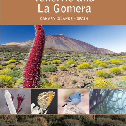 Tenerife and La Gomera