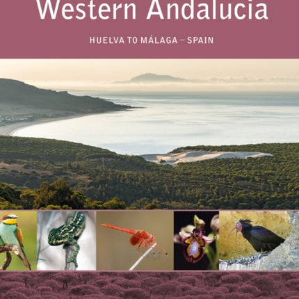 Western Andalucia