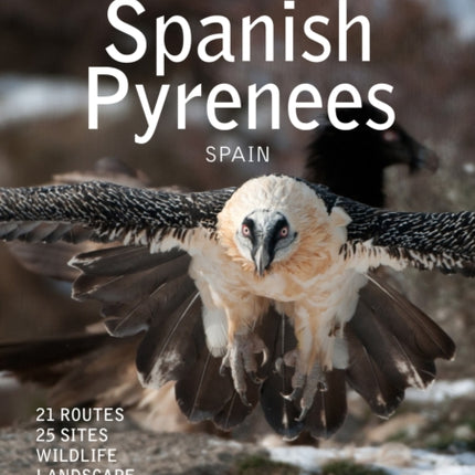 Crossbill Nature Guide Spanish Pyrenees