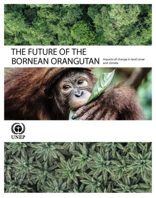 The future of the Bornean Orangutan: impacts of