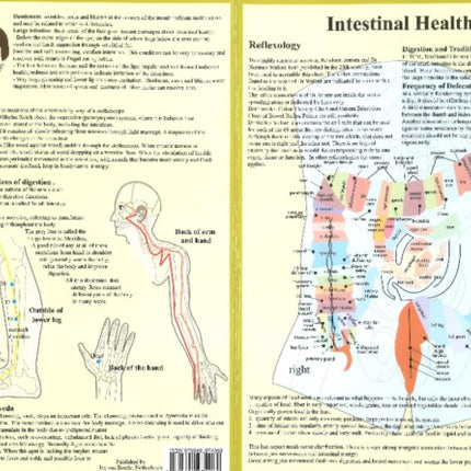 Intestinal Health -- Double Sided A4