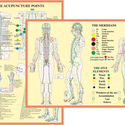 Meridians and 5 Elements