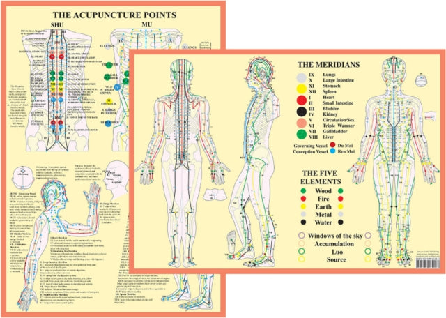 Meridians and 5 Elements