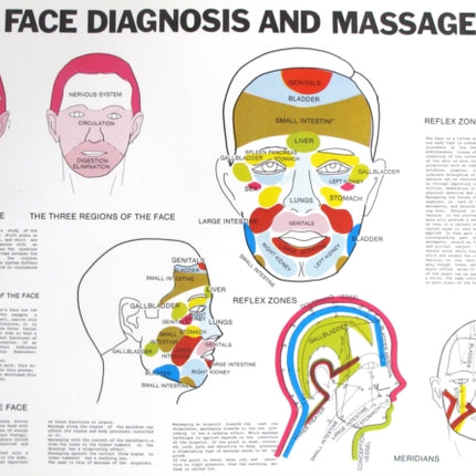 Face Diagnosis and Massage