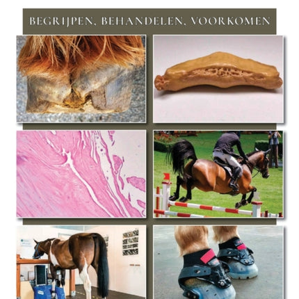 Hoefkatrolontsteking: begrijpen, behandelen, voorkomen