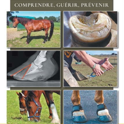 La fourbure: comprendre, guérir, prévenir