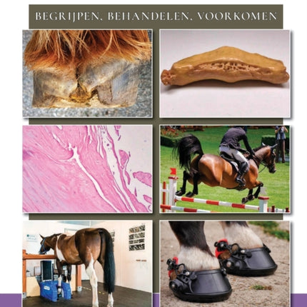 Hoefkatrolontsteking: begrijpen, behandelen, voorkomen