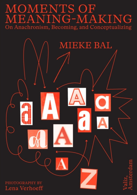 Moments of MeaningMaking