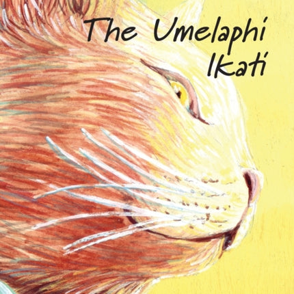 The Umelaphi Ikati: Zulu Edition of The Healer