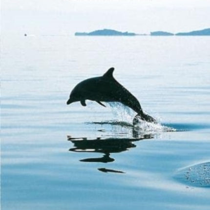 Dolphins and Whales of the Greek Seas