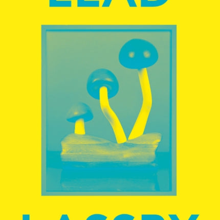 Elad Lassry