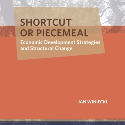 Shortcut or Piecemeal: Economic Development Strategies and Structural Change