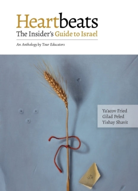 Heartbeats: The Insiders Guide to Israel - An Anthology by Tour Educators