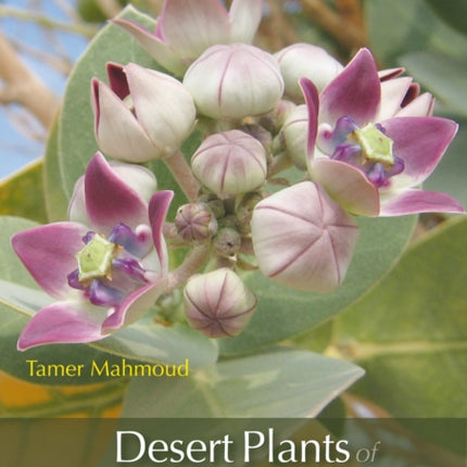Desert Plants of Egypt’s Wadi El Gemal National