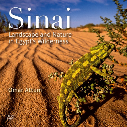 Sinai: Landscape and Nature in Egypt’s Wilderness