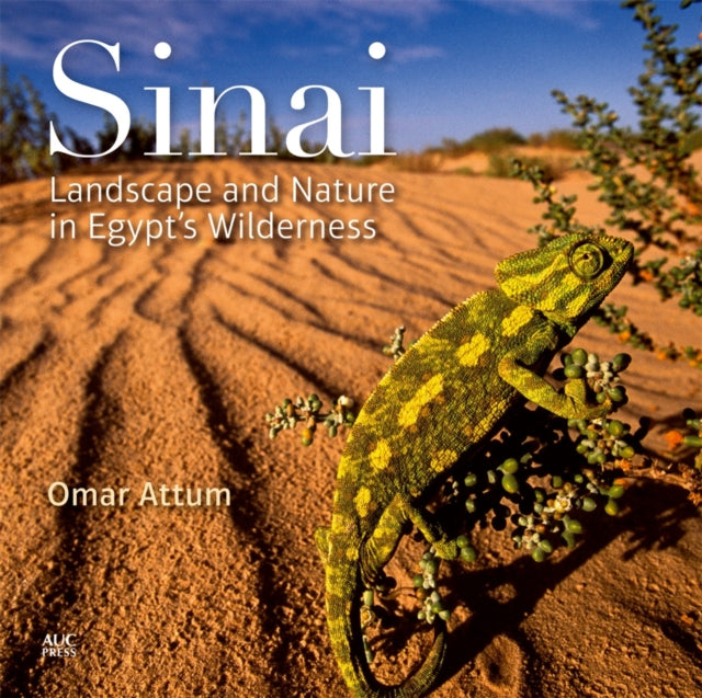 Sinai: Landscape and Nature in Egypt’s Wilderness